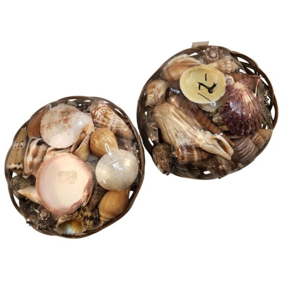 Decorative Seashell Basket Set of 2 For Home Decor & Crafts 5"x 3" - Picture 1 of 9